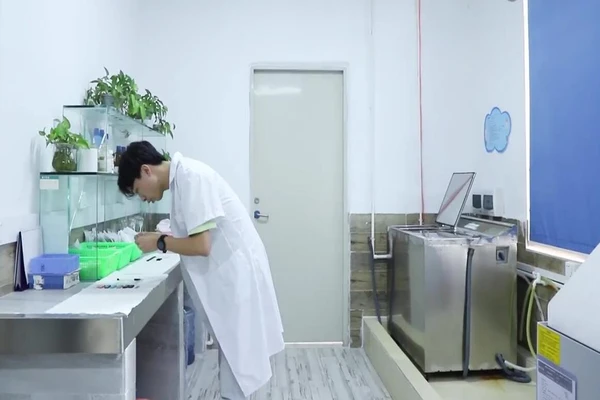 qc inspection